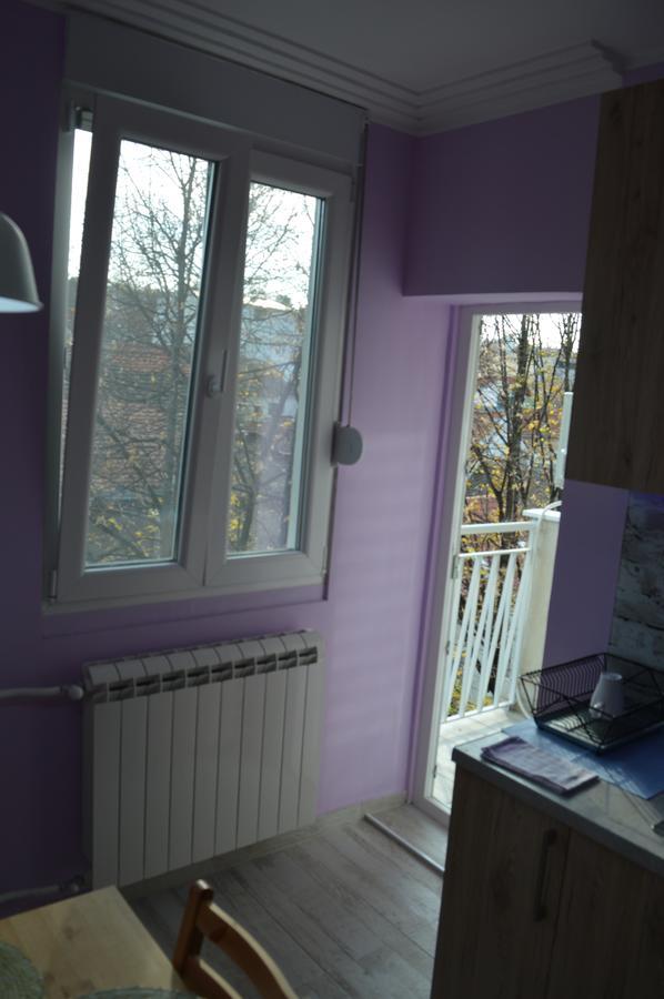 Apartman Gloria 2 Belgrád Kültér fotó